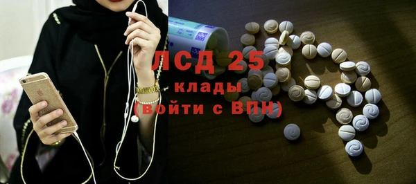 спайс Инта