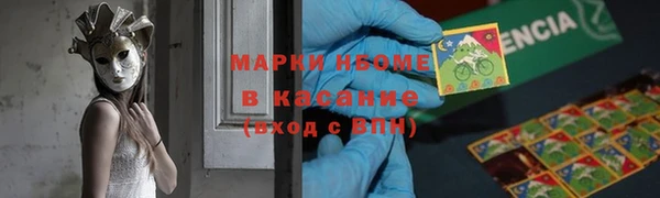 стафф Каменка