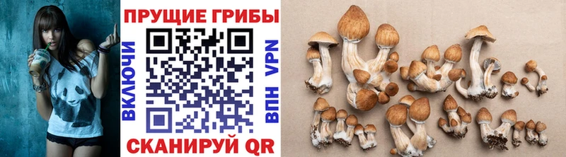 Псилоцибиновые грибы мухоморы  Зеленодольск 
